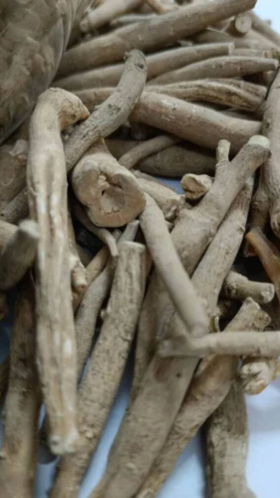 ਇਨ੍ਹਾਂ ਲੋਕਾਂ ਨੂੰ ਨਹੀਂ ਖਾਣਾ ਚਾਹੀਦਾ ਅਸ਼ਵਗੰਧਾ