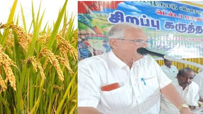 Minimum Support Price for Paddy: A Lifeline for Farmers in Tamil Nadu “நெல்லுக்கு இதுதான் விலையா? - எங்கே செல்கிறது விவசாயம் ?”  இனி சோறு கிடைக்குமா..?