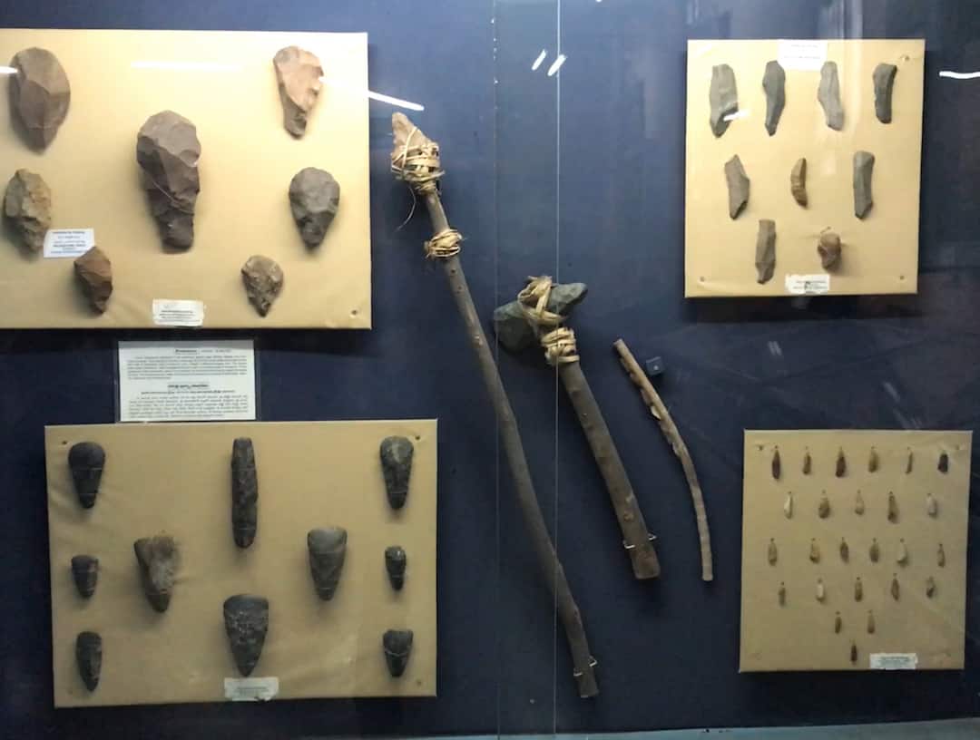 Primitive weapons in Karimnagar Museum History Know Full details Karimnagar Museum: కరీంనగర్ మ్యూజియంలో ఆదిమానవుల కాలం నాటి ఆయుధాలు, చరిత్రకు సజీవ సాక్ష్యాలు