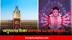 'অনুদানের টাকা কমপক্ষে ১০ গুণ বাড়ালে পুজোর কাজে লাগতে পারে' রাজ্যকে তীব্র কটাক্ষ আদালতের