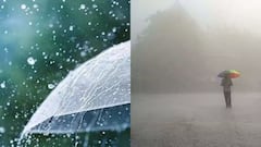 తెలంగాణలో రాబోయే 3 రోజులు భారీ వర్షాలు - ఈ జిల్లాలకు ఐఎండీ ఎల్లో అలర్ట్