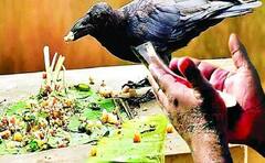 Pitru Paksha Niyam: પિત્તૃપક્ષમાં ભૂલથી પણ ન કરો આ કામ, પૂર્વજના આશિષથી થઇ જશો દૂર