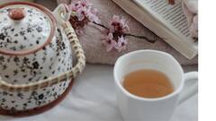 Clove Tea: நீரிழிவு நோய் பாதிப்பு இருப்பவர்கள் கிராம்பு டீ குடிப்பது நல்லதா? நிபுணர்கள் சொல்வது என்ன?