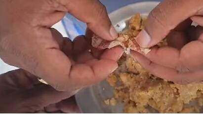 tirumala laddu controversy Devotee Claims Tobacco Found In Prasadam Amid Animal Fat row WATCH: Devotee Claims Tobacco Found In Tirupati Laddu Amid Animal Fat Controversy