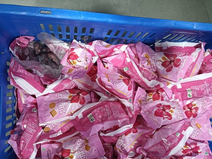 सिद्धीविनायक प्रसादाच्या टोपलीत उंदीर आढळळ्याच्या प्रकरणाची चौकशी होणार, असं सुधीर मुनगंटीवार यांनी सांगितलं.