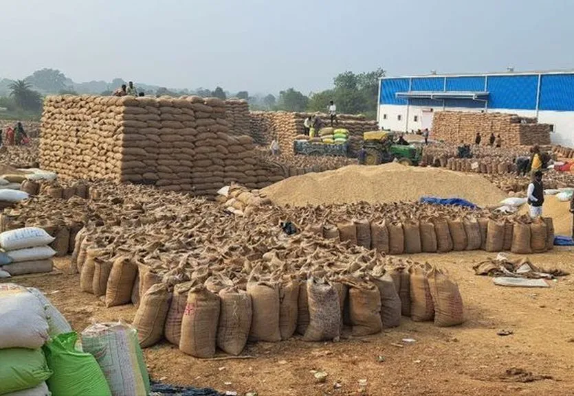 Paddy Scam Case: ਅਨਾਜ ਮੰਡੀ ਘੁਟਾਲੇ 'ਚ ਸਭ ਤੋਂ ਵੱਡਾ ਫਰਾਰ ਮੁਲਜ਼ਮ ਗ੍ਰਿਫ਼ਤਾਰ, ਕੋਰਟ 'ਚ ਕੀਤਾ ਆਤਮ ਸਮਰਪਣ 