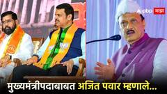 महायुतीत मुख्यमंत्रीपदाचा चेहरा कोण?; अजित पवारांनी भूमिका स्पष्ट, उमेदवारांचही सांगितलं
