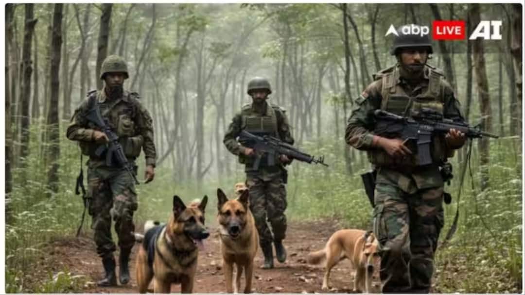 Jammu and Kashmir: Non-Local Killed By Terrorists In Shopian Jammu and Kashmir: Non-Local Killed By Terrorists In Shopian