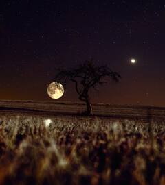 आसमान में दिखेंगे दो-दो चांद… क्या धरती पर मचेगी 2013 जैसी तबाही? जान लें इस मिनी मून के बारे में बेहद अहम बातें