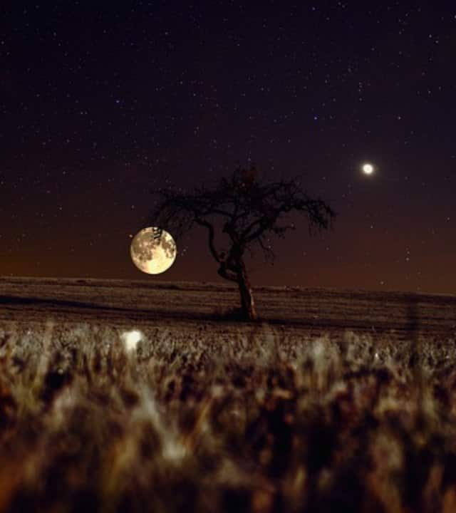 नासा के ऐस्ट्रोनॉमर्स के मुताबिक, इस एस्टेरॉयड का नाम 2024 पीटी5 है. यह धरती पर रहने वाले लोगों को 29 सितंबर को आसमान में नजर आएगा और 25 नवंबर को आसमान से गायब हो जाएगा.