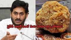 తిరుమలలో ల్యాబ్‌ లేదా! అయితే 2014-19 మధ్య నెయ్యి కల్తీ జరిగిందా? వైసీపీ లాజిక్ చూశారా