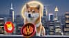Is Shiba Inu's Hype No Match for Rexas Finance's Utility RXS on Track to Overtake SHIB in Market Cap by 2025
