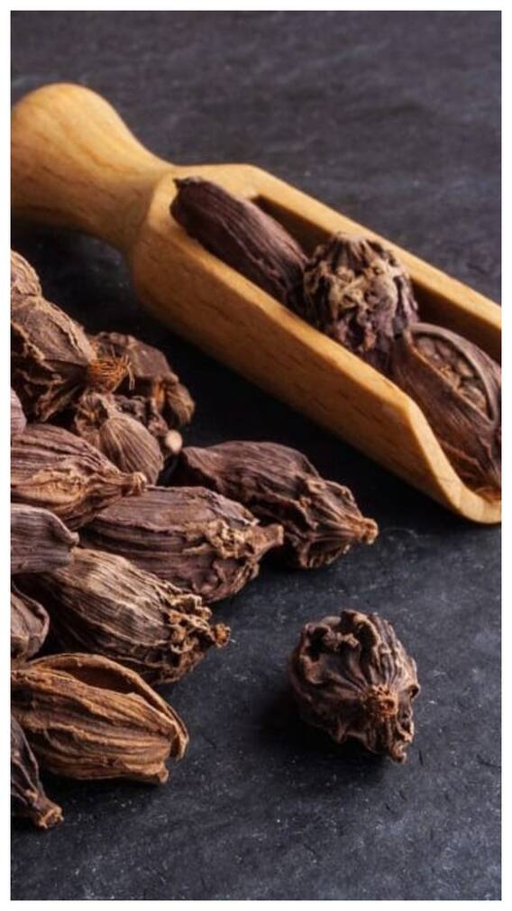 खांसी करती है परेशान तो बड़ी इलायची करेगी दिक्कत को आसान