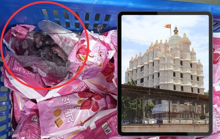 मंदिर प्रशासन देखील घडलेल्या प्रकराची तपासणी करेल आणि योग्य ते स्पष्टीकरण देईल, असंही मुनगंटीवार म्हणाले.