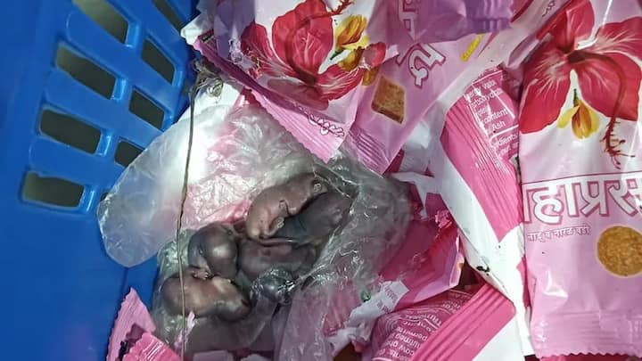 व्हायरल फोटो आणि व्हिडिओची देखील तपासणी होणार आहे.