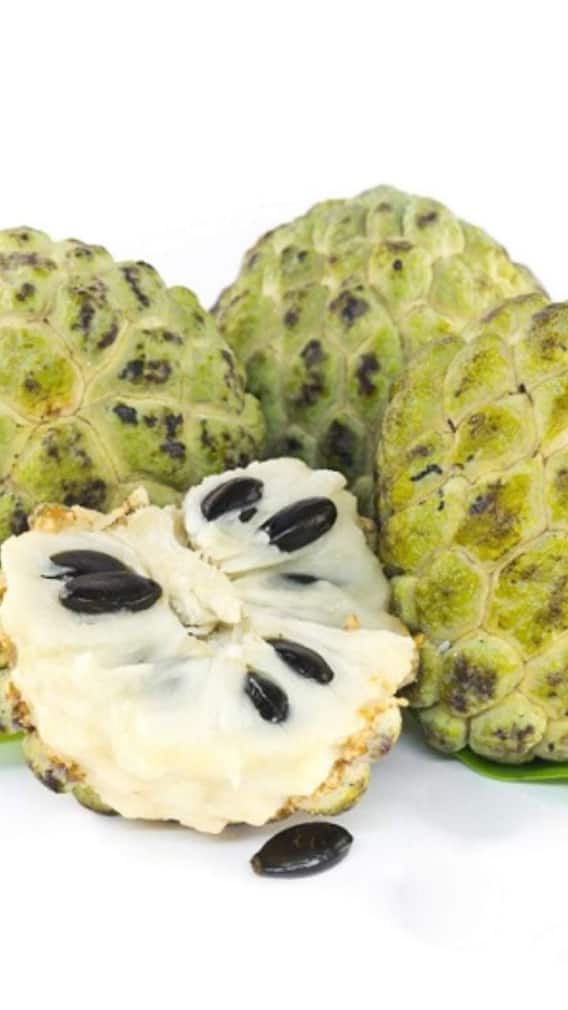 ਇਨ੍ਹਾਂ ਲੋਕਾਂ ਨੂੰ ਨਹੀਂ ਖਾਣਾ ਚਾਹੀਦਾ ਸ਼ਰੀਫਾ