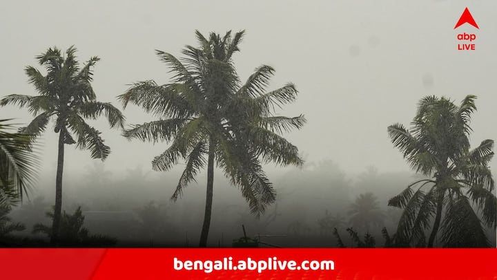 বুধ ও বৃহস্পতিবার থেকে বৃষ্টির পরিমাণ বাড়তে পারে দক্ষিণবঙ্গের বিভিন্ন জেলায়। বুধবার ভারী বৃষ্টি হতে পারে বাঁকুড়া, দক্ষিণ ২৪ পরগনা, দুই মেদিনীপুর, পশ্চিম বর্ধমান এবং মুর্শিদাবাদে।