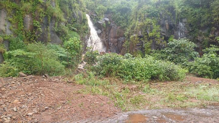 ढगफुटी सदृश्य पावसाचा फटका भुईबावडा घाटाला बसला असून मुसळधार पावसामुळे भली मोठी दरड रस्त्यावर कोसळल्याने भुईबावडा घाटातील वाहतूक बंद झाली आहे.