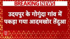 Udaipur Panther: गोगुंदा में पकड़ा गया तेंदुआ..24 घंटे में तीन लोगों पर किया था जानलेवा हमला