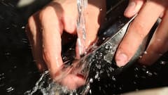 Detergent to Wash Dishes: কাপড় কাচার ডিটারজেন্ট দিয়ে বাসন মাজছেন? অভ্যাস পাল্টান এখনই