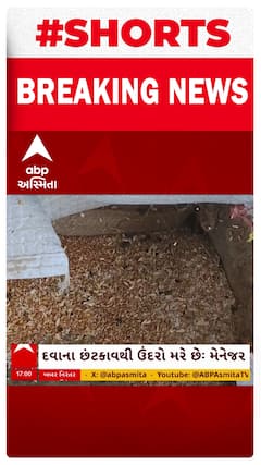 Vadodara News | વડોદરામાં સરકારી અનાજના ગોડાઉનમાં જોવા મળ્યા મરેલા ઉંદર