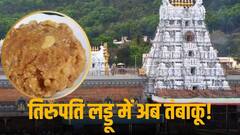 'तिरुपति लड्डू में अब तंबाकू', श्रद्धालु के दावे के बाद मचा हड़कंप, जानें तिरुमाला बोर्ड ने क्या दिया जवाब?