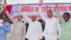 Maharashtra Elections 2024: प्रिया दत्त आशिष शेलारांचा खेळ बिघडवणार? विधानसभेत चुरस रंगणार, कोणाचं पारडं जड?