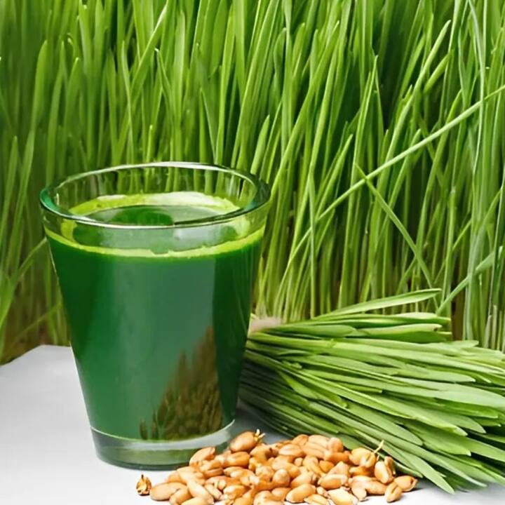 ਪਾਚਕ ਸਹਾਇਤਾ ਵੀਟਗ੍ਰਾਸ ਵਿਚ ਵਿਟਾਮਿਨ ਬੀ, ਐਮਿਨੋ ਐਸਿਡ ਅਤੇ ਪਾਚਕ ਹੁੰਦੇ ਹਨ ਜੋ ਭੋਜਨ ਨੂੰ ਹਜ਼ਮ ਕਰਨ ਵਿਚ ਸਹਾਇਤਾ ਕਰਦੇ ਹਨ। ਇਸ ਤੋਂ ਇਲਾਵਾ ਇਸ ਦਾ ਰੋਜ਼ਾਨਾ ਸੇਵਨ ਖੂਨ ਦੇ ਗੇੜ ਨੂੰ ਠੀਕ ਰੱਖਣ ਵਿਚ ਮਦਦ ਕਰਦਾ ਹੈ।