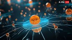 क्या है कैंसर इम्यूनो थेरेपी? जानें कब पड़ती है इसकी जरूरत