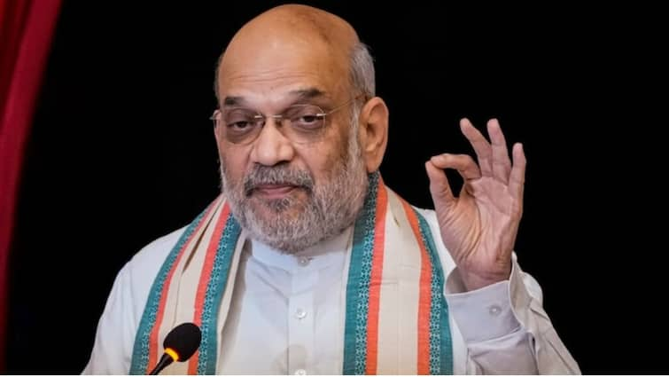 Amit Shah Launches Cell App For Trouble-Free Start, Dying Registrations; Unveils Statue Of Sar