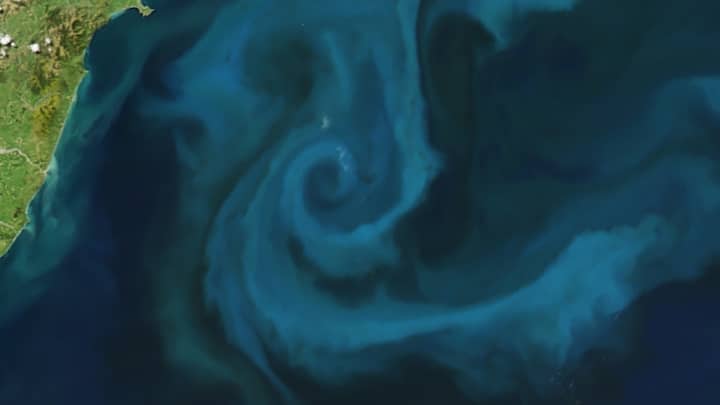 EASY TO SPOT? On October 25, 2009, NASA’s Aqua satellite, using its Moderate Resolution Imaging Spectroradiometer (MODIS), recorded this view of a phytoplankton bloom off New Zealand's coastline. Photo: NASA