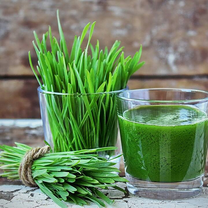 ਪੌਸ਼ਟਿਕ ਭਰਪੂਰ ਵੀਟਗ੍ਰਾਸ ਦਾ ਸੇਵਨ ਸਰੀਰ ਵਿਚ ਸਾਰੇ ਜ਼ਰੂਰੀ ਤੱਤਾਂ ਦੀ ਘਾਟ ਨੂੰ ਪੂਰਾ ਕਰਨ ਵਿਚ ਮਦਦ ਕਰਦਾ ਹੈ। 1 ਗਲਾਸ ਜੂਸ ਪੀਣ ਨਾਲ ਭੁੱਖ ਘੱਟ ਲੱਗਦੀ ਹੈ।