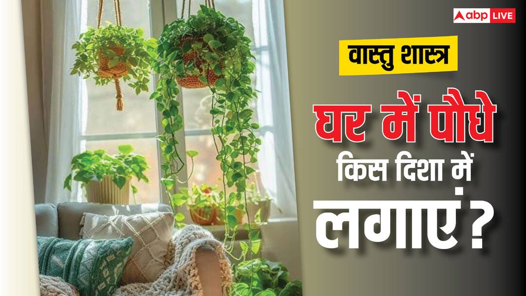 Vastu Shastra: घर में पौधे रखने की सही जगह क्या होनी चाहिए? Vastu Shastra according to vastu tips what is the right place to keep plants at home Vastu Shastra: घर में पौधे रखने की सही जगह क्या होनी चाहिए?