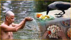 Pitru Paksha Niyam: પૂર્વજોનું શ્રાદ્ધ કરતા પહેલા આ નિયમ જાણી લો, આ ભૂલ દોહરાવશો તો પિતૃના આશિષથી રહેશો વંચિત
