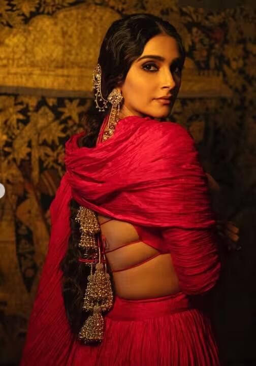 સોનમની વાત કરીએ તો તે હાલમાં મોટા પડદા પરથી ગાયબ છે. તેણી તેના અંગત જીવન પર ધ્યાન આપી રહી હતી. હવે સોનમ પુનરાગમન કરવા માંગે છે. IANS સાથે વાત કરતા સોનમે કહ્યું- મને એક્ટર બનવું ગમે છે. મારા પ્રૉફેશનને કારણે મેં ઘણા પાત્રો ભજવ્યા છે અને મને અલગ-અલગ રૉલ કરવા ગમે છે.