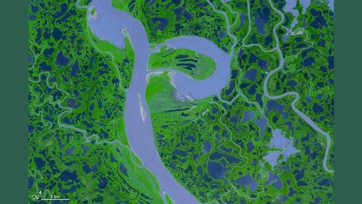 PURELY 'P': On August 4, 2005, NASA’s Terra satellite, equipped with the Advanced Spaceborne Thermal Emission and Reflection Radiometer (ASTER), snapped this false-color image of Canada’s Mackenzie River Delta. Photo: NASA
