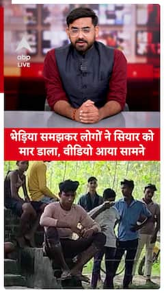 Viral Video: Man Kills a Jackal Mistaken for a Wolf in Bahraich!