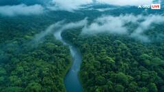 ये है भारत में बहने वाली सबसे साफ नदी, देखकर लगेगा हवा में तैर रही है नाव