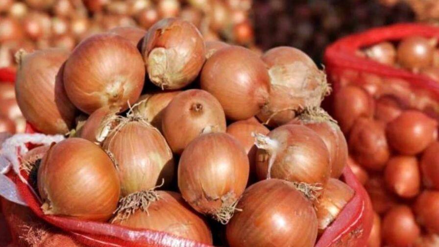 Onion prices- ਸਸਤਾ ਪਿਆਜ਼ ਵੇਚਣ ਲਈ ਸਰਕਾਰ ਨੇ ਖੋਲ੍ਹੀਆਂ ਦੁਕਾਨਾਂ, ਮਿਲ ਰਿਹੈ 35 ਰੁਪਏ ਕਿੱਲੋ Onion prices Government has opened shops to sell cheap onion getting 35 rupees per kilo Onion prices- ਸਸਤਾ ਪਿਆਜ਼ ਵੇਚਣ ਲਈ ਸਰਕਾਰ ਨੇ ਖੋਲ੍ਹੀਆਂ ਦੁਕਾਨਾਂ, ਮਿਲ ਰਿਹੈ 35 ਰੁਪਏ ਕਿੱਲੋ