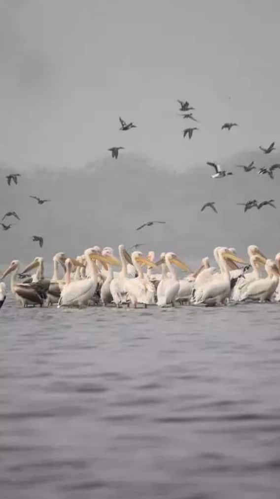 परिवार के साथ घूमने के लिए रायबरेली की ये जगहें हैं बेहतरीन