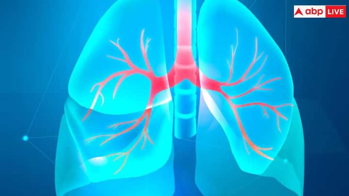 World Lungs Day 2024: फेफड़ों के कैंसर के मरीजों के लिए हम खास उपाय बताएंगे. जिसके कारण आपको बेहतर परिणाम मिलेंगे.