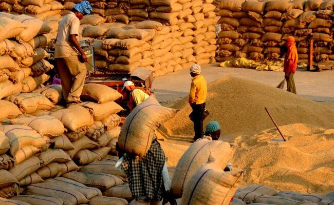 Paddy Procurement: बिहार में धान खरीद की रफ्तार सुस्त, केंद्र पर नहीं पहुंच रहे किसान, आखिर वजह क्या है?