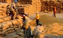 CM on Paddy: நெல் விவசாயிகளுக்கு நற்செய்தி.! செப்டம்பர் 1-ம் தேதி முதல் அரசு கொள்முதல் - முதலமைச்சர் உத்தரவு