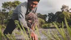 ये है दुनिया का सबसे महंगा चावल, एक किलो चावल के दाम में आ जाएगा स्मार्टफोन