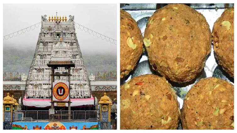 Tirupati Laddu sale increase after ghee controversy know details here Tirupati Laddu: சர்ச்சைக்கு பிறகு சக்கைப் போடு போடும் லட்டு விற்பனை! திருப்பதியில் அசத்தல்!