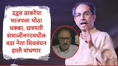 उद्धव ठाकरेंचा भाजपला मोठा धक्का, बडा नेता समर्थकांसह मुंबईकडे रवाना, विधानसभाची उमेदवारी मिळणार?  