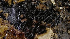 Ayurvedic Herbs And Remedies For Blood Sugar Control