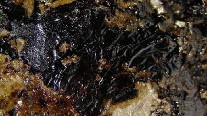 2. Shilajit: Shilajit is a mineral-rich compound renowned in Ayurveda for its energy-boosting and revitalising properties. For diabetes management, Shilajit aids in glucose metabolism and helps the body use glucose efficiently, which can help maintain stable blood sugar levels. Its ability to reduce fatigue and enhance energy levels also makes it an ideal choice for combating the fatigue often associated with diabetes. (Image Source: Pinterest/Mission2Nepal)