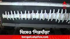 প্রতিবাদের আবহে দুর্গাপুজোর প্রস্তুতি, প্রাণের উৎসবে থিম এবার শিরদাঁড়া