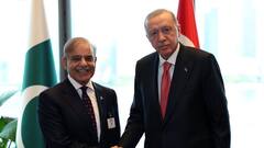 किसके खौफ में हैं मुस्लिम मुल्क? UNSC में नहीं उठा कश्मीर का मुद्दा तो तड़प उठे पाकिस्तानी, शहबाज शरीफ की भी लगा दी क्लास